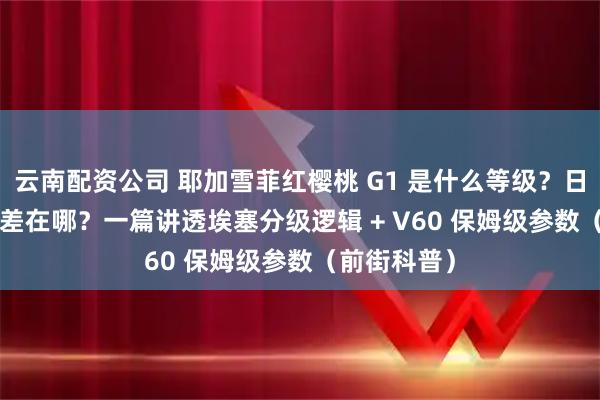 云南配资公司 耶加雪菲红樱桃 G1 是什么等级？日晒 vs 水洗差在哪？一篇讲透埃塞分级逻辑 + V60 保姆级参数（前街科普）